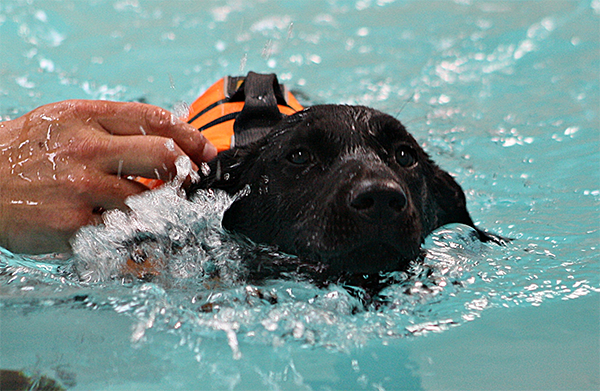 mctimmoney-chiropractor